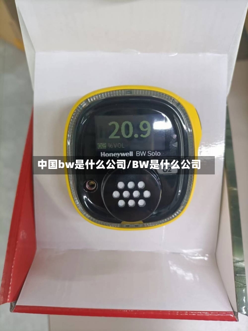 中国bw是什么公司/BW是什么公司-第1张图片
