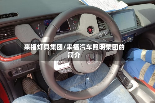 来福灯具集团/来福汽车照明集团的简介-第1张图片