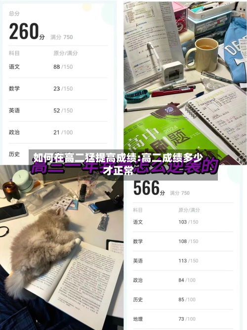 如何在高二猛提高成绩:高二成绩多少才正常-第1张图片