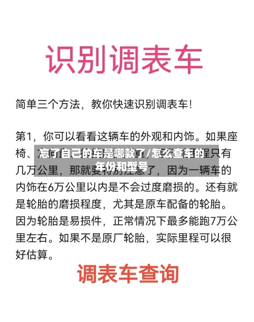 忘了自己的车是哪款了/怎么查车的年份和型号-第1张图片