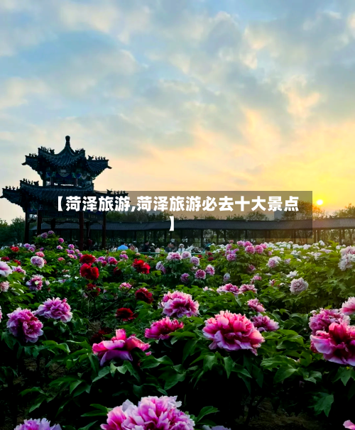 【菏泽旅游,菏泽旅游必去十大景点】-第1张图片
