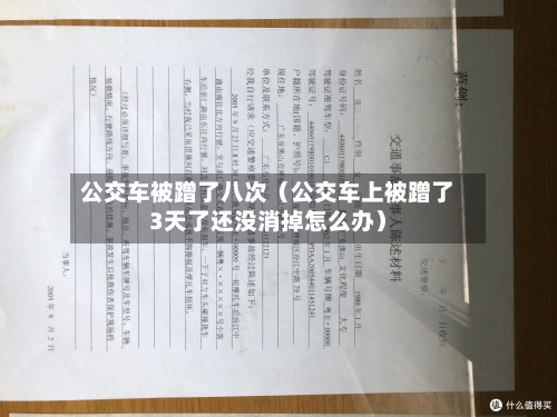 公交车被蹭了八次（公交车上被蹭了3天了还没消掉怎么办）-第1张图片
