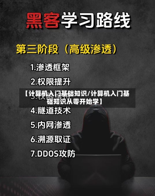 【计算机入门基础知识/计算机入门基础知识从零开始学】-第1张图片