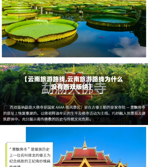【云南旅游路线,云南旅游路线为什么没有西双版纳】-第1张图片