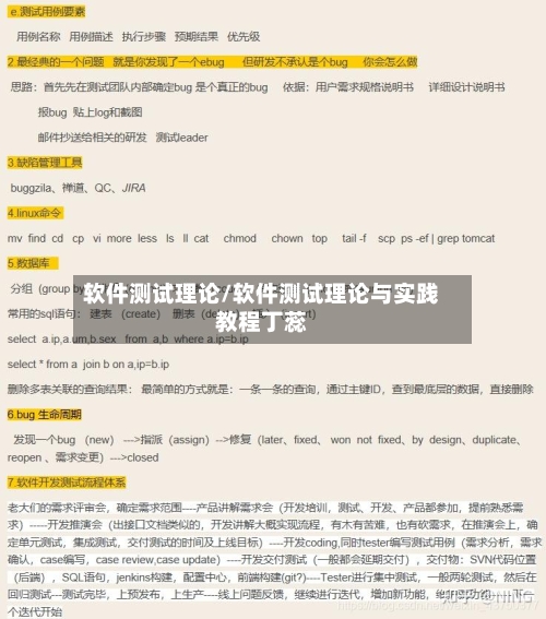 软件测试理论/软件测试理论与实践教程丁蕊-第1张图片