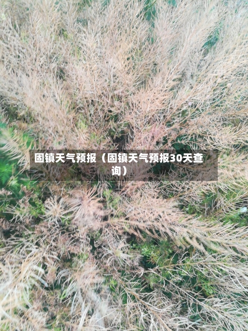 固镇天气预报(固镇天气预报30天查询)-第1张图片