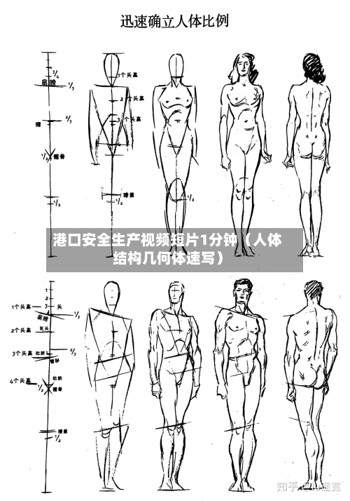 港口安全生产视频短片1分钟（人体结构几何体速写）-第1张图片