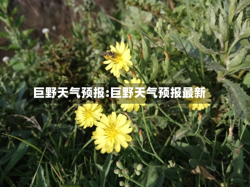 巨野天气预报:巨野天气预报最新-第1张图片