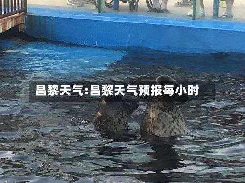 昌黎天气:昌黎天气预报每小时-第1张图片