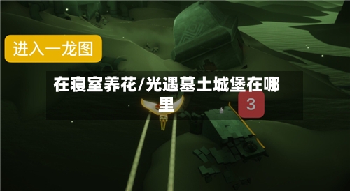 在寝室养花/光遇墓土城堡在哪里-第1张图片