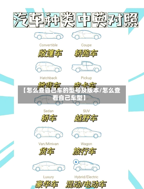 【怎么查自己车的型号及版本/怎么查看自己车型】-第1张图片
