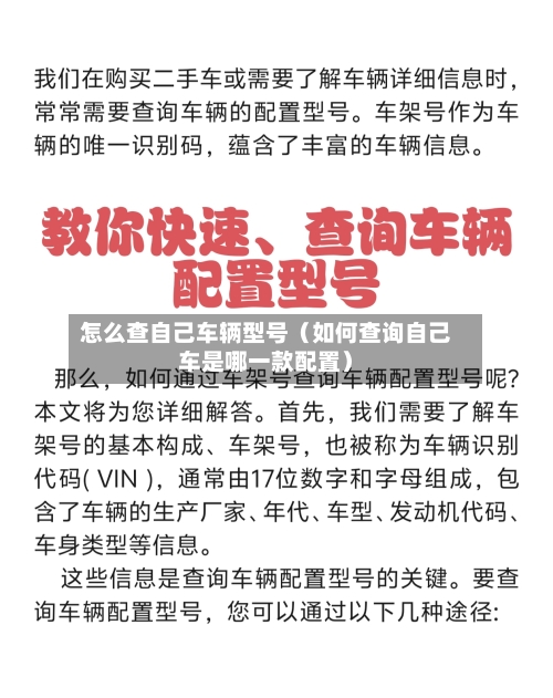 怎么查自己车辆型号（如何查询自己车是哪一款配置）-第1张图片