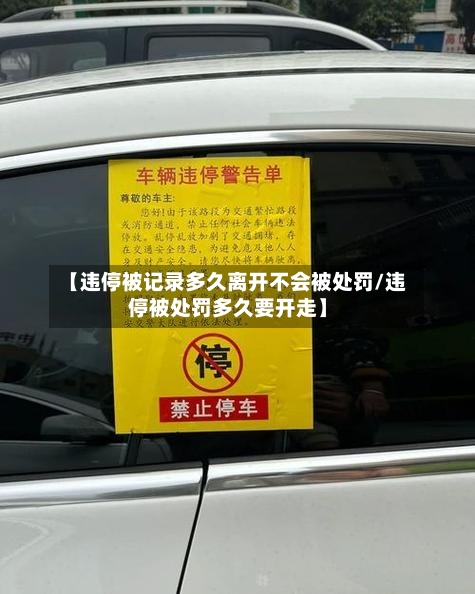 【违停被记录多久离开不会被处罚/违停被处罚多久要开走】-第1张图片